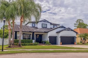 205 BENGAL CIRCLE, OLDSMAR, FL 34677 - MLS#MFROM714362