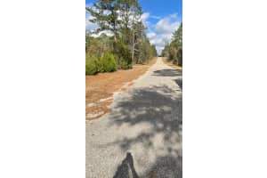 0 139 COURT, DUNNELLON, FL 34434 - MLS#MFROM714395