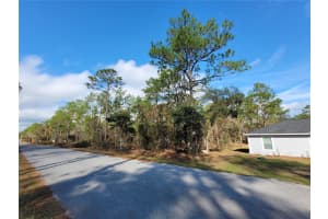 0 NW FOXGLOVE LANE, DUNNELLON, FL 34431 - MLS#MFROM714399