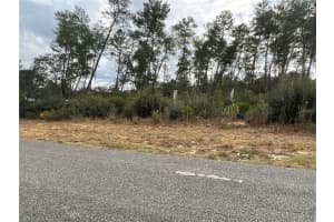TBD 110TH LANE, OCALA, FL 34476 - MLS#MFROM714413