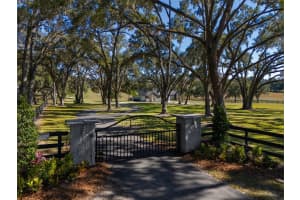 9651 80TH AVENUE, OCALA, FL 34482 - MLS#MFROM714445