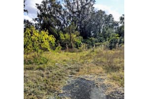 808 3RD STREET, OCALA, FL 34471 - MLS#MFROM714463