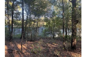 SW 66 ST, OCALA, FL 34481 Sold 12/19/25