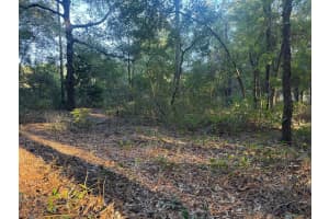 SW 66 ST, OCALA, FL 34481 Sold 12/19/25