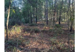 SW 66 ST, OCALA, FL 34481 Sold 12/19/25