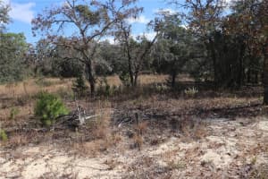 9097 PEEWEE POINT, DUNNELLON, FL 34433 - MLS#MFROM714497