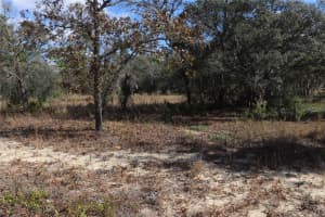 9097 PEEWEE POINT, DUNNELLON, FL 34433 - MLS#MFROM714497