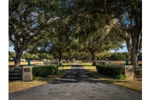 4951 216TH AVENUE, MORRISTON, FL 32668 - MLS#MFROM714562