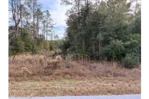 0 CARDINAL AVENUE, DUNNELLON, FL 34431 Sold 02/23/26