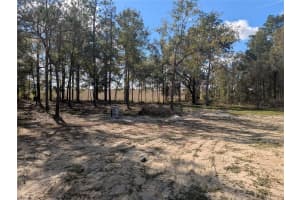 23360 TIGER LAKE BOULEVARD, DUNNELLON, FL 34431 - MLS#MFROM714585