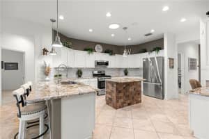 13973 96TH CIRCLE, SUMMERFIELD, FL 34491 - MLS#MFROM714609