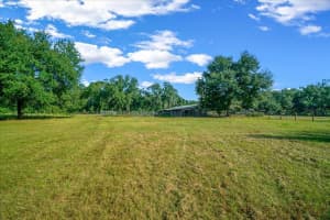 11060 128TH PLACE ROAD, OCKLAWAHA, FL 32179 Sold 03/02/26