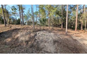 SW 53RD ST, OCALA, FL 34481 - MLS#MFROM714620