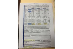 16788 69TH LANE, OCKLAWAHA, FL 32179 - MLS#MFROM714625