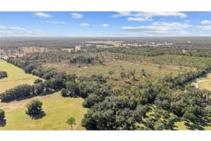 1 PETITION #4261-1, OCALA, FL 34481 - MLS#MFROM714679