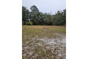 130 SESAME STREET, PALATKA, FL 32177 - MLS#MFROM714686