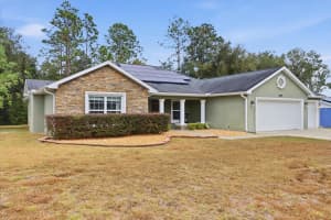 8393 159TH LANE, SUMMERFIELD, FL 34491 - MLS#MFROM714705