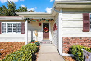 9811 138TH LOOP, SUMMERFIELD, FL 34491 - MLS#MFROM714825