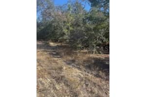 6491 KILLINGER TERRACE, CITRUS SPRINGS, FL 34433 - MLS#MFROM714867