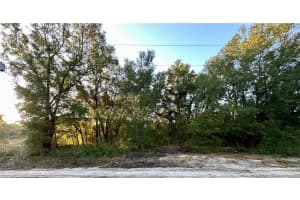 NW 16TH PL, OCALA, FL 34482 - MLS#MFROM714894