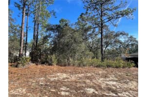 11475 KENNEY LOOP, DUNNELLON, FL 34433 - MLS#MFROM714921