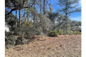 11475 KENNEY LOOP, DUNNELLON, FL 34433 - MLS#MFROM714921