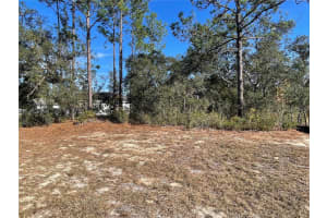 11475 KENNEY LOOP, DUNNELLON, FL 34433 - MLS#MFROM714921