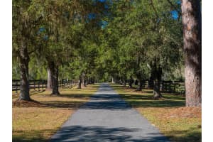 9710 160TH AVENUE, MORRISTON, FL 32668 - MLS#MFROM714938