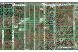 TBD NARCISSUS ROAD, DUNNELLON, FL 34431 - MLS#MFROM714942