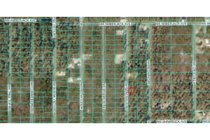 TBD1 NARCISSUS ROAD, DUNNELLON, FL 34431 - MLS#MFROM714946