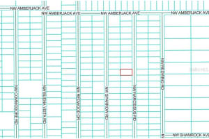 TBD1 NARCISSUS ROAD, DUNNELLON, FL 34431 - MLS#MFROM714946