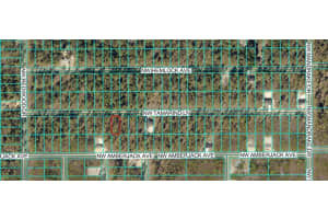 TBD TAMARIND LANE, DUNNELLON, FL 34431 Sold 03/25/26