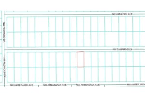 TBD TAMARIND LANE, DUNNELLON, FL 34431 Sold 03/25/26
