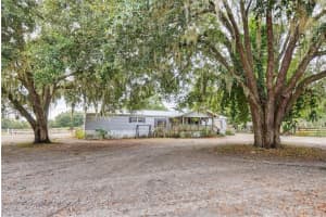 650 170TH AVENUE, WILLISTON, FL 32696 - MLS#MFROM714958