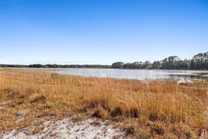 TBD 256TH AVENUE, UMATILLA, FL 32784 - MLS#MFROM715016