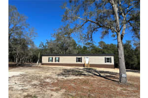 13751 5TH STREET, WILLISTON, FL 32696 - MLS#MFROM715025