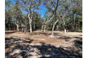 13751 5TH STREET, WILLISTON, FL 32696 - MLS#MFROM715025