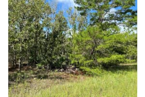 TBD 93RD STREET, DUNNELLON, FL 34432 Sold 03/30/26