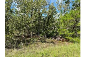 TBD 93RD STREET, DUNNELLON, FL 34432 Sold 03/30/26