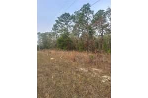 00 54TH LANE ROAD, OCALA, FL 34481 Sold 01/22/26