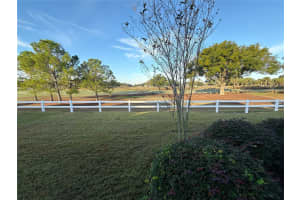 8443 82ND LOOP, OCALA, FL 34481 - MLS#MFROM715123