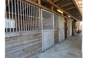 8955 W HIGHWAY 316, REDDICK, FL 32686 - MLS#MFROM715160