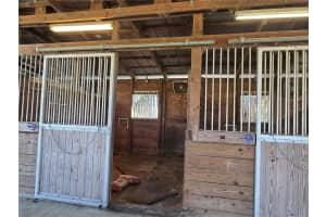 8955 W HIGHWAY 316, REDDICK, FL 32686 - MLS#MFROM715160