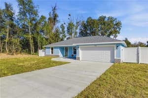 13587 49TH AVENUE, SUMMERFIELD, FL 34491 - MLS#MFROM715165