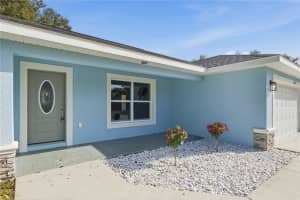 13587 49TH AVENUE, SUMMERFIELD, FL 34491 - MLS#MFROM715165