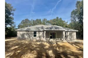 64 GUAVA PASS, OCKLAWAHA, FL 32179 - MLS#MFROM715180