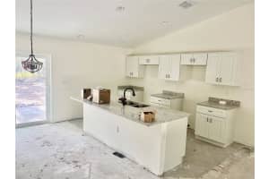 64 GUAVA PASS, OCKLAWAHA, FL 32179 - MLS#MFROM715180