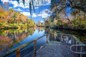 12575 FOSS GROVES PATH, INGLIS, FL 34449 - MLS#MFROM715206