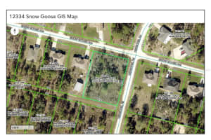 12334 SNOW GOOSE AVENUE, BROOKSVILLE, FL 34614 - MLS#MFROM715209