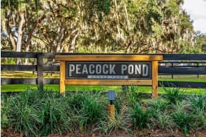 8583 130TH STREET, REDDICK, FL 32686 - MLS#MFROM715227